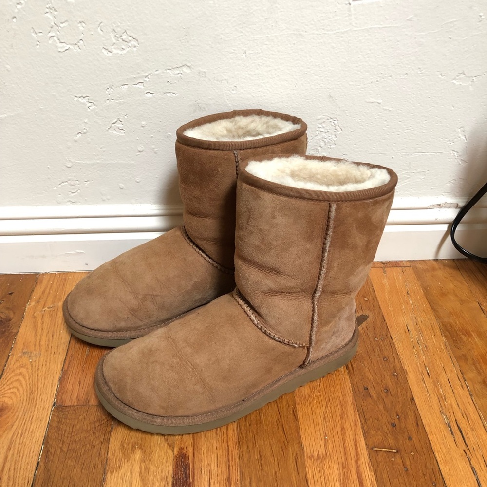 Uggs short chestnut